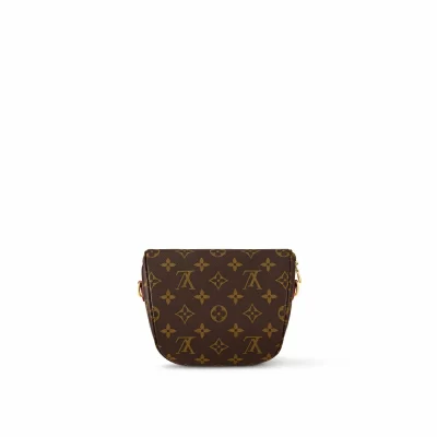 Mini-Bumbag-Monogramm-Canvas in Damenbrieftaschen und Kleinlederwaren-Geldbörsen mit Kette und Riemen